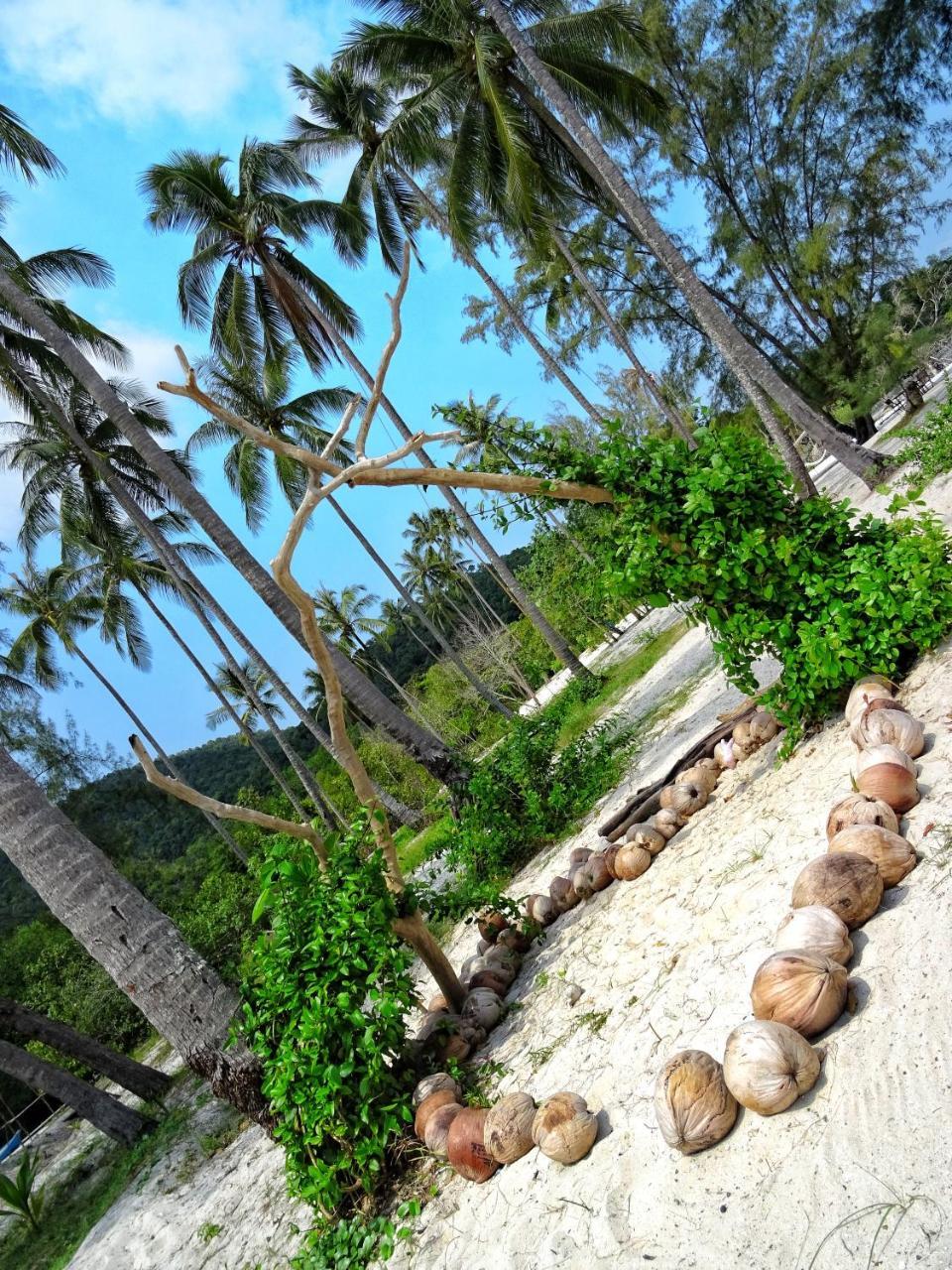 Koh Rong Love Resort Prek Svay Village Eksteriør billede